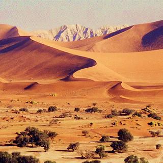 photo_desert_namib